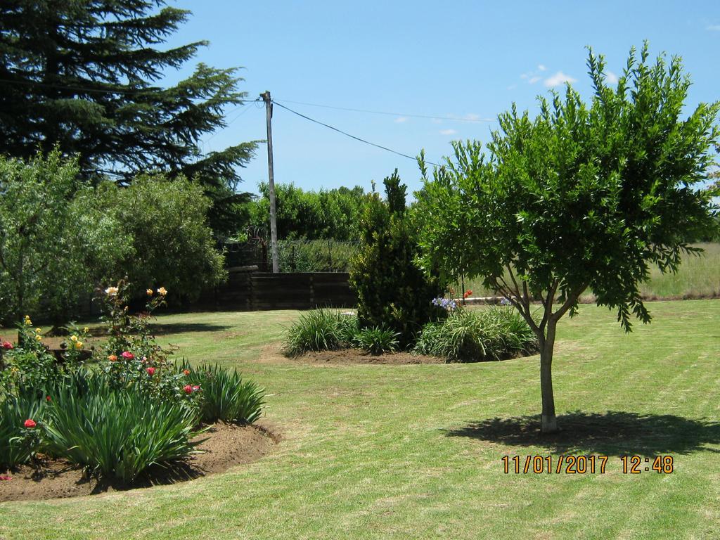 Grace Country Retreat Otel Memel Dış mekan fotoğraf